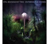 Emil Brandqvist Trio - Entering the Woods (Digipak)