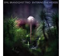 Emil Brandqvist Trio Entering the Woods (Ltd/180gr (Vinyl)