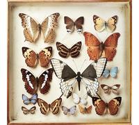 Emiliana Torrini - Rarities