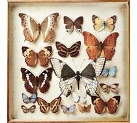 Emiliana Torrini - Rarities