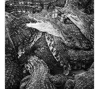 Emilie Levienaise Farrouch - Like Water Through The Sand