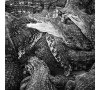 Emilie Levienaise-Farrouch - Like Water Through The Sand [Japan CD] CD-1320J