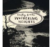 Emily Bronte Wuthering Heights (Vintage Classics Bronte Series) Paperback Book Emily Bronte Multicolor