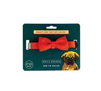 Emily Brooks Orange Dog Bow Tie with adjustable strap