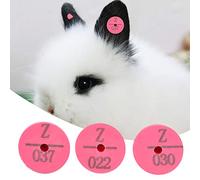 Eminchu Animal Livestock Ear Tag Lightweight Durable Identification Marker for Rabbit Fox Dog, 100Pcs Rose Red, Orange, Yellow, Green (Rose Red)