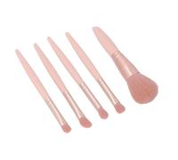 Eminchu Makeup Brushes Set Portable Soft Powder Blush Eye Shadow Brushes for Women and Girls 5 Pcs in Apricot Pink