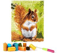 Emistem DIY Latch Hook Rug Kits, Gift Packaging Crochet Tapestry Yarn Kits, Pre-Printed Canvas, Needlework Unfinished Crocheting Mat Yarn Embroidery Carpet Set, (Pink Roses,20x20")