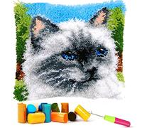 EMISTEM Latch Hook Kits for Adults, Crochet Yarn Pillow Kit for Beginners, DIY Needlework Crafts Cover Case with Printed Canvas, Gift Packaging. (Blue Eyes Cat,17x17 inch)