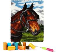 EMISTEM Latch Hook Kits for Adults - DIY Latch Hook Rug Kits, Crochet Kit for Beginners, Rug Making Kits with Printed Canvas, Gift Packaging.(Snow-Capped Mountains and Fine Horse, 20x15)