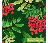 Emma Bridgewater Rowan, Green Christmas Cocktail or Tea Napkins Paper 25 cm Square 20 in Pack