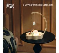 Emma Molly Cloud Sleep Crystal Stone Aroma Diffuser Gift Box with 2 Essential Oils