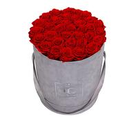 Emmie Gray Classic Infinity Rose Box, Velvet Grey, Round Flower Box, Infinity Roses in Grey Velvet Box, 1-3 Year Shelf Life, Real Roses that Bloom Years - Durable Roses (L, Vibrant Red)