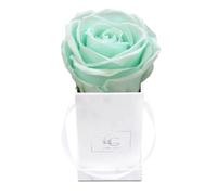 Emmie Gray Classic Infinity Rose | Marble Silver | Flower Box - Infinity Roses in Grey Velvet Box - Lasting 1-3 Years - Real Roses That Bloom For Years (Mind Green)