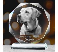 Emoragifou Personalised Photo Frame, Deceased Dog Souvenir, Commemorative and Funeral Objects for Dogs Cats, Plaque with a Laser Engraved Crystal Frame, Personalised Gift for Dogs