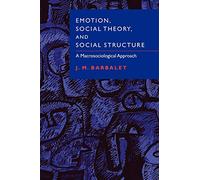 Emotion, Social Theory & Structure: A Macrosociological Approach – Cambridge University Press