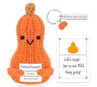 Emotion Support Crochet Pumpkin, Good Luck Gifts Positive Doll with card&keychain, Pocket Hug Gift for Women, Men, Friends, Co workers, Birthday Graduation Teacher, Cute Desk Decor for Home Office