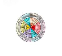Emotion Wheel Magnet Feelings Wheel Sticker, Magnet Feelings Emotions Chart Wheel Fridge Magnet Mental Health Gifts Social Counselor Worker Stickers School Office Deco