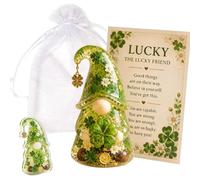 Emotional Dwarf Support Collection, Inspirational Mini Dwarf Figurines with Message Card and Gift Pouch, Funny Mini Dwarfs Figurine, Motivational Gifts for Teacher, Coworker, Friend (Green H)