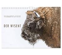 Emotional moments: The bison. UK-Version (Wall Calendar 2026 DIN A4 Landscape), CALVENDO 12 Month Wall Calendar