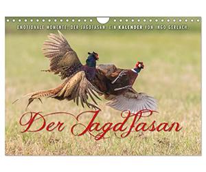 Emotional moments: The hunting pheasant. UK-Version (Wall Calendar 2026 DIN A4 Landscape), CALVENDO 12 Month Wall Calendar