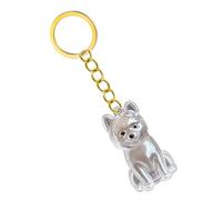 Emotional Pet Loss Keychain Memorial Box with Clear Hair Storage for Sad Owners, Clear Memorial Memorial Keepsake Keychain Lost Sympathy Gift