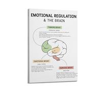 Emotional Regulation in The Brain, Fight Or Flight Freeze Response Survival Brain Survival Mode Poster Decorative Painting Canvas Wall Posters And Art Picture Print Modern Family Bedroom Decor Poster