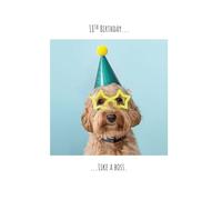 Emotional Rescue 18th Birthday Card for Him, Dog in Party Hat, Like a Boss… Male Birthday Card, Blue