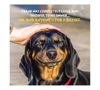 Emotional Rescue Birthday Card for Man, Frank Was Completely Loyal & Faithful to his Owner Male Birthday Card, Multi-Coloured