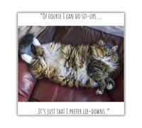 Emotional Rescue Birthday Card Unisex, Funny Birthday Card Him/Her, Of Course I can Do Sit-ups…. Image of Cat on Chair, Multi-Coloured