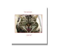 Emotional Rescue Christmas Card, Cat, 16.3 x 16.3 cms, Multi-Coloured