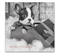 Emotional Rescue Christmas Card from the Dog