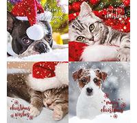 Christmas Cards Multi-Pack, 12 Multi-Pack Christmas Cards, 4 Different Designs Emotional Rescue Multi One Size