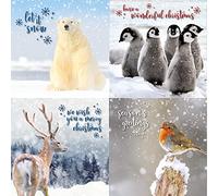 Emotional Rescue Christmas Cards Multi-pack, 12 Multi-pack Christmas Cards, 4 Different Designs, Pack of 12 Multi-pack Christmas Card, Animal Christmas Card Multi-pack, Christmas Cards Pack