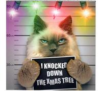 Emotional Rescue Funny Christmas Card for Friends | Mugshot!