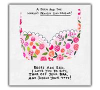 Emotional Rescue Girlfriend Birthday Card, Sexy, Funny, 6x7 inch, Pink, Plain, Classic Humorous, Birthday Greeting Card