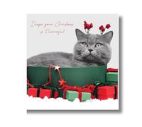 Emotional Rescue In Black & White, Christmas Card, Cat with Christmas Presents, 16.3 x 16.3 cms, Multi-Coloured
