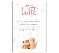 Emotional Rescue Valentines Day Card for Wife, We'll Face the Rain, Survive the Storms, Cuddling, Multi-Coloured