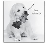 Emotional Rescue Valentines Day Card, Labrador with Rose Happy Valentines Day Card, Unisex, Grey Scale