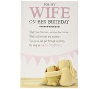 Emotional Rescue Wife Birthday Card,Multi,159x235mm