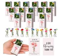 Emotional Support Appreciation Gifts Bulk Mini Bud Vase with Flowers Positive Box Breathing Gifts Back to School Desk Pets for Students Teachers Women Employee Wildflower Party Decorations