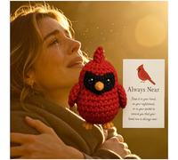 Emotional Support Cardinal Handmade Comfort Companion, Soft Plush Red Bird Keepsake Gift for Loss Sympathy, Pocket Hug Memorial Gift for Women Men, for Grief Healing Remembrance Decor (1 * B)