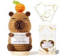 Emotional Support Crochet Positive Capybara Inspirational Cheer Up Gifts for Women, Handmade Crochet Gift Thank You Birthday Christmas Teacher Appreciation Gifts for Coworker Nurse Mom Best Friends