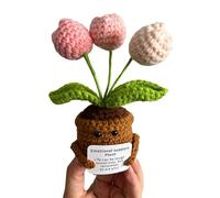 Emotional Support Gift, Inspirational Gifts For Women, Positive Potato, Motivational Gifts,Emotional Support Plant,Inspirational Crochet Flowers,Cheer Up Motivational Gifts For Men Women Encouragement