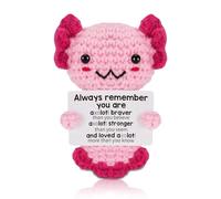 Emotional Support Plush,Positive Axolotl Crochet Animal,Pink Funny Gift Doll,Good Luck Gifts Perfect for Women Girls Teens Teenagers Friends,Birthday Party Motivational Encouragement,with Storage Card