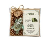 Emotional Support Turtle Mason Jar with Encouragement Greeting Card
