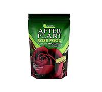 Empathy After Feeding Rose Plant with Rootgrow 1 kg