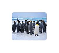 Emperor Penguin Flock Mouse Mat Pad - Animal Family Computer #14618