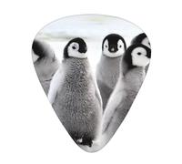 Emperor Penguin Printing,12 Pcs Guitar Pick,3 Different Thickness Plectrums for Acoustic Guitar Bass Ukulele (0.46mm 0.96mm 0.71mm)