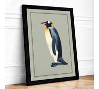 Emperor Penguin Study Minimalist Framed Wall Art Print A2 (59.4×42cm) Black, Wall Decor for Living Room, Bedroom, Office & Home, Ready to Hang, Art Gift