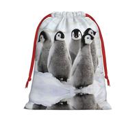 Emperor Penguin Ultra Soft Velvet Gift Bag, Comfortable To The Touch, Reusable